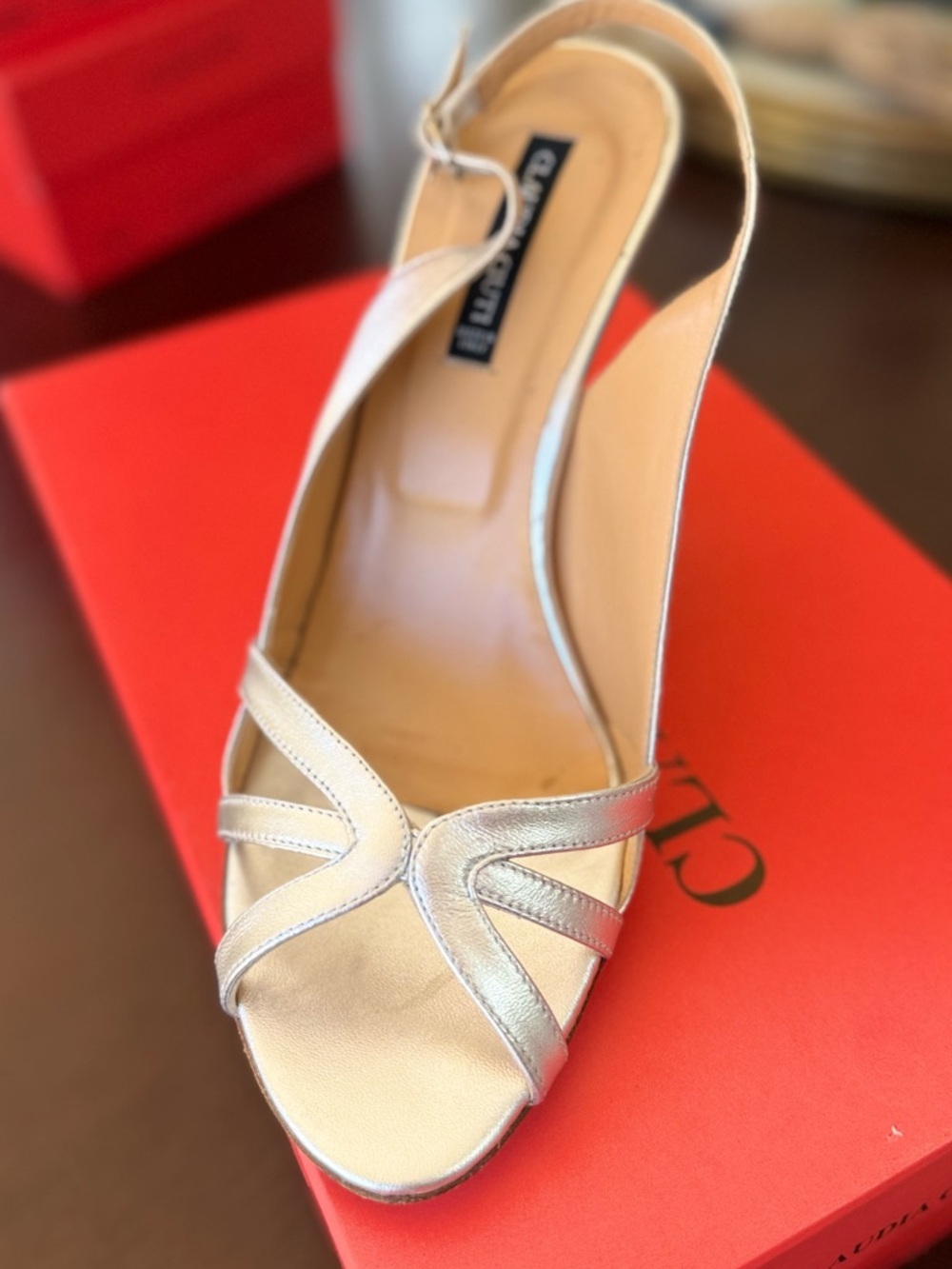 Slingback Peep-Toe Heel in Metallic Silver